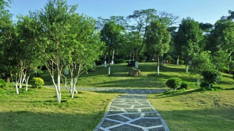中超联赛直播怎么观看?渠道、画质与互动体验全解析